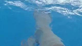 Let Me Bring You Into My Element