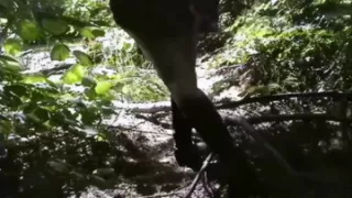 Vintage Hairy Anal! Amateur Buttuck Sabrina