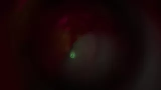 B025 Asian Beauty Tentacbondage Slave Face Sitting, Farting, Anal Licking