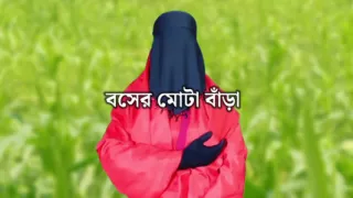 The bus's fat cock was inserted into my pussy