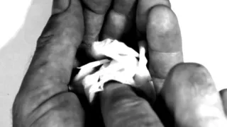 Hand Fetish - My Hands Destroying Flowers and Fruit