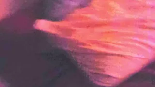 degrading my sissy husband for laughs