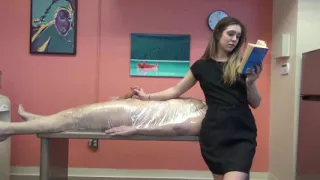 Bossy Violet Volume 2 Featuring Violet Thompson