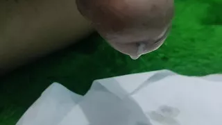Suck my cock my darling