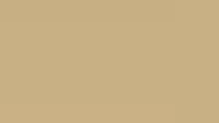 Clothespin Play Fetish Fanclub Video of the Month Ffvotm 3a