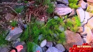 Beach Fantasy - Blonde & Brunette (pov)