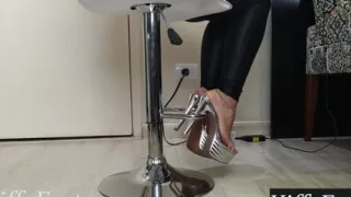 Kiffa Is Working at the Office Today.