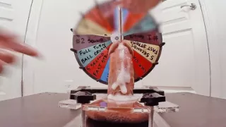 Stepmom Plays Roulette with My Dick