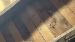 Teen wet pussy wait you