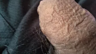 giant gay cock looks wonderful