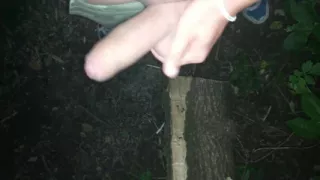 Night Outdoor Jerking, Showing Balls and Cumshot on Tree Trunk