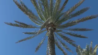 Outdoor, pool fuck for the young -titted Russian teen