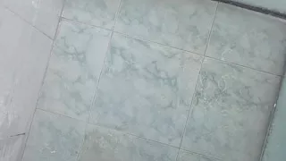 Come Take a Shower with Me