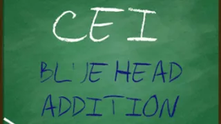 AUDIO ONLY - CEI blue head addition