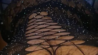 My new neighbor helps me move some things around the house