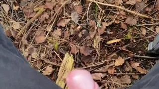 BWC cumpilation