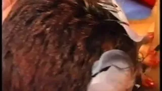 In the Kitchen and in the Dining Room I Enjoy Your Dick Too Much