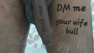 Cuckold bull masterbation for sissy husband