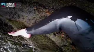 Neoprene Wetsuit & Dive Mask Masturbation by the Sea