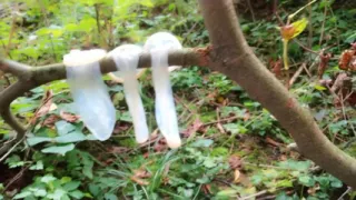 Swallowing Cum From Three Used Condoms Found Outdoor