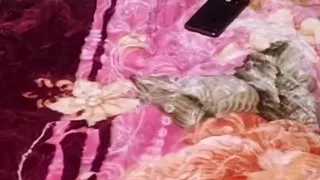 Arab Couple Loud Moaning Orgasm