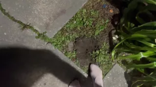 Dirty Stepsis Big Mess