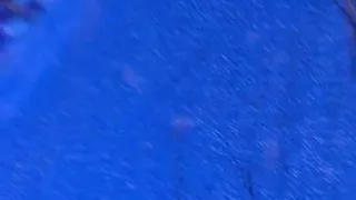 Sex Arab Wife Big Ass