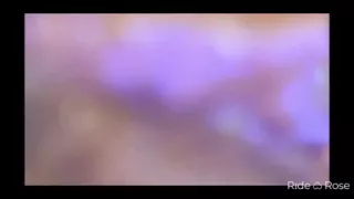 Small but impossible to stop looking at