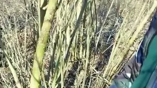 Twink Found Bottle with Anon Cum Outdoors so He Added His Cum There Too
