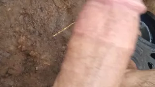 My horny cock