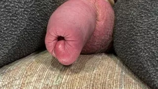 Giant uncut cock up close.  No hands.
