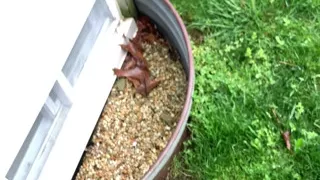 Caught Masturbating by BF