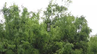 A082G04 The wife next door who passed by made a mistake in the room...! with too much momentum! Morning SEX the next morning!