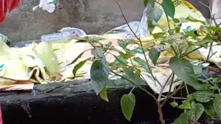 Sexy bhabhi devar ne flating karke pata liya uske baad puri raat kiya sex