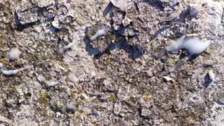 Piss on My Cum on Stone Outdoor