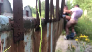 How I Love Summer for the Opportunity to Fuck in the Bushes