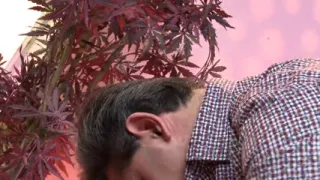 Hot ebony takes big cock in ass