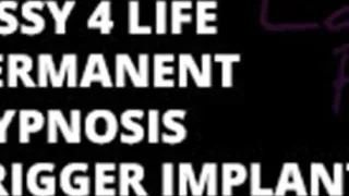 Sissy 4 life permanent trigger 1