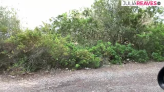 Even while driving, my friend cock is addicted