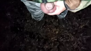 5 Times Piss on Dry Leaves in Different Views Compilation