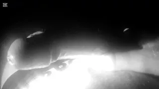 Stylish Compilation of Masturbation Shots - Self Shot Big White Cock and Cum