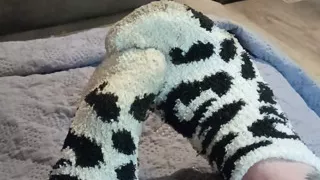 Quit stealing my socks jack