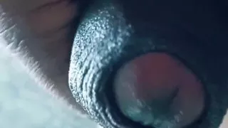 Desi gay daddy horny feelings of lust