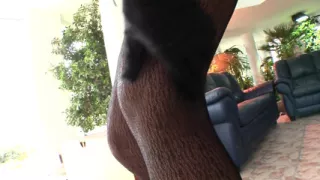 Blonde Bitch Wants to Be a Domina