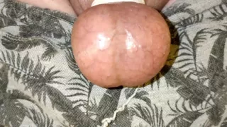 Uncut Cock Pulling Foreskin Back and Forth on Hard and Soft Dick
