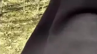 Walking with Erection Outdoor but I Was Too Scared to Cum
