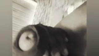 Sl Tamil Gay Chudai Video