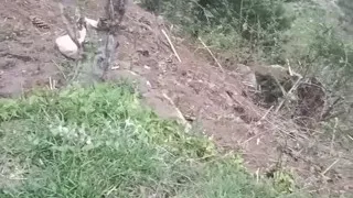 Part 2 - Desi outdoor sex with a stranger girl in the jungle.