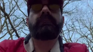 Walking in the Wood