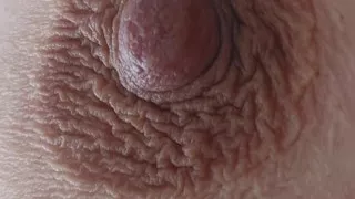 The Video for My Neighbor